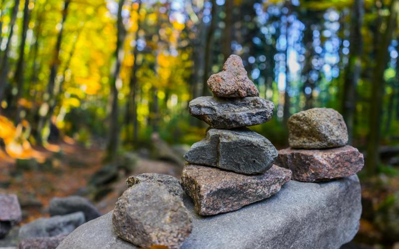 Stacks of stones in the foreground, with a woodland background