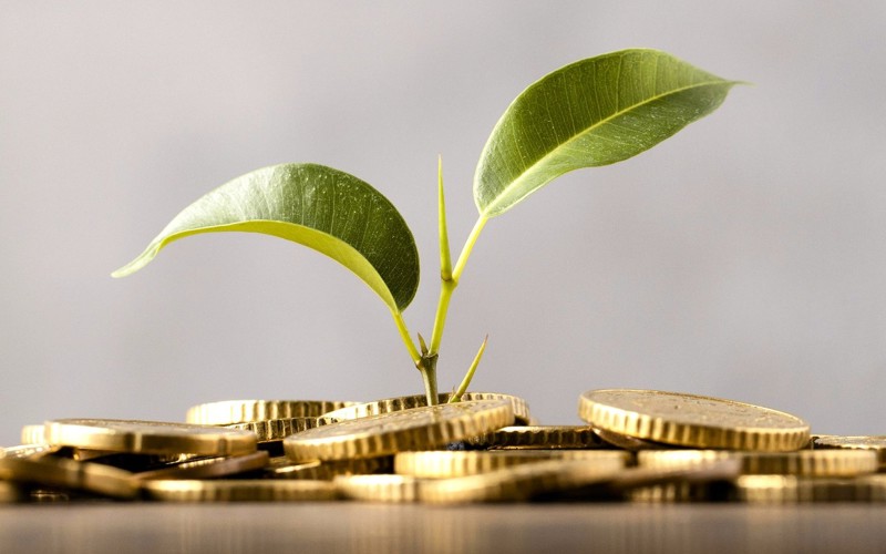 A small green plant growing from a pile of gold coins