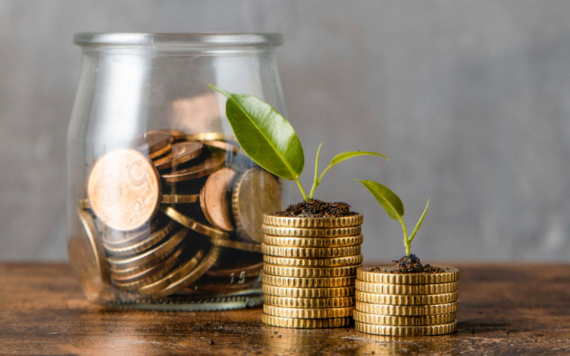 Photo of two stacks of coins, with green plants growing out of them