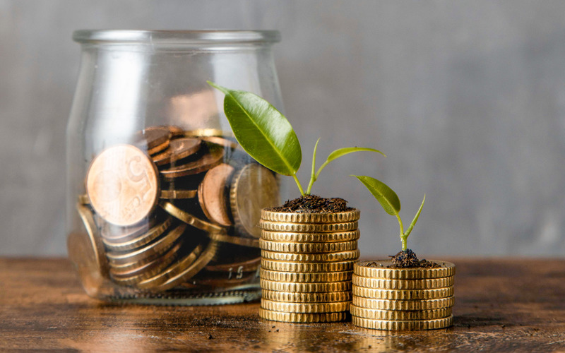 Photo of two stacks of coins, with green plants growing out of them